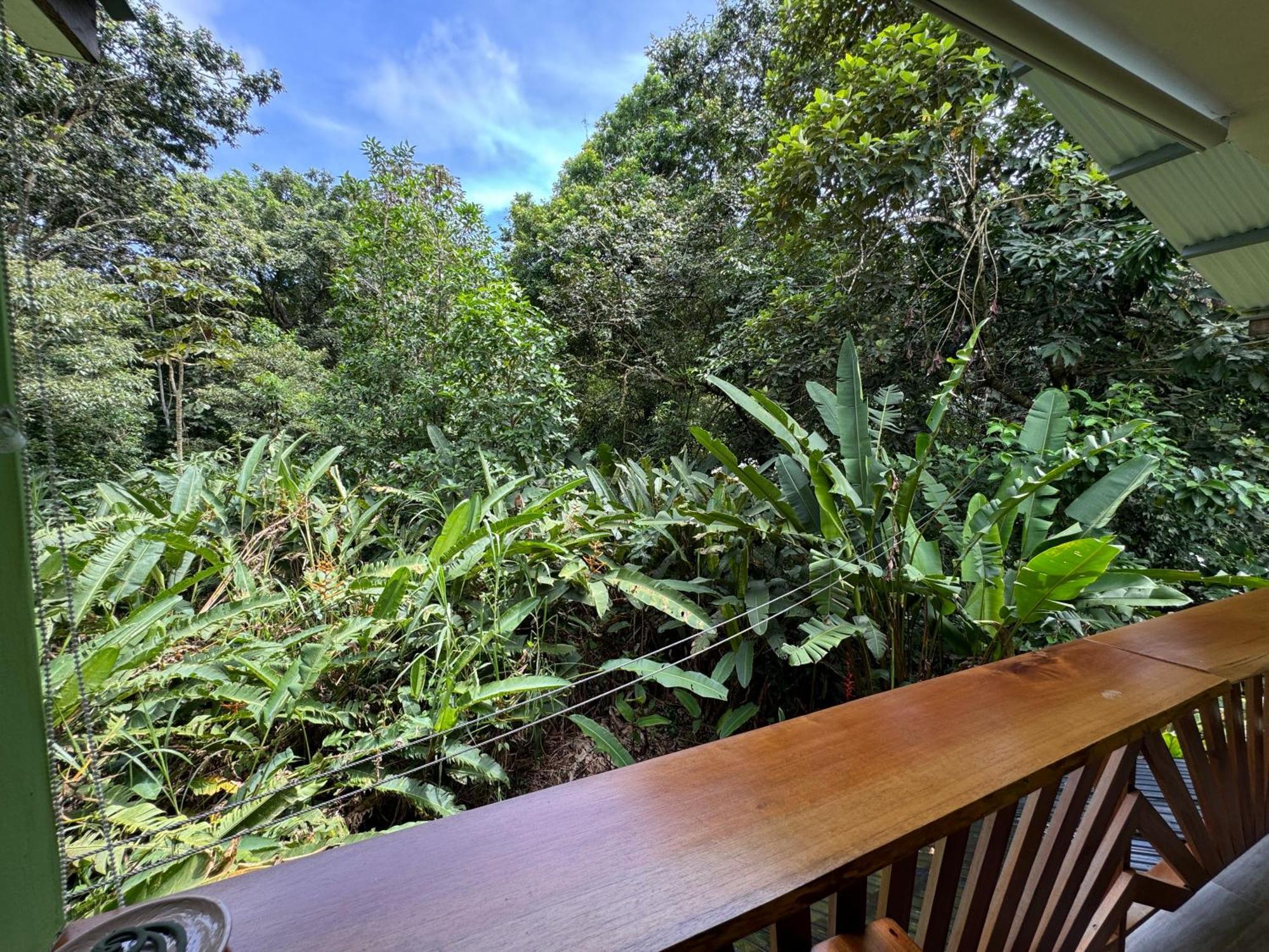 Chilamate Room Tortuguero Extérieur photo
